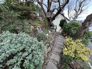 Photo 24- click for photo gallery